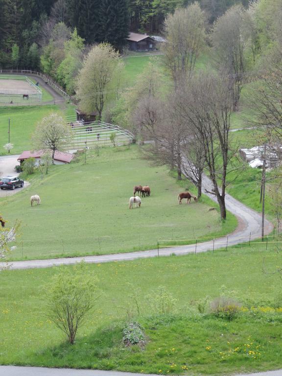 Ferienwohnung Waldoase Am Fuchsenstein Spiegelau Esterno foto