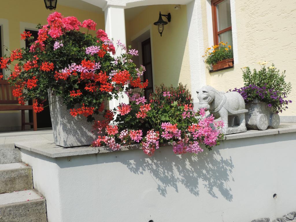 Ferienwohnung Waldoase Am Fuchsenstein Spiegelau Camera foto