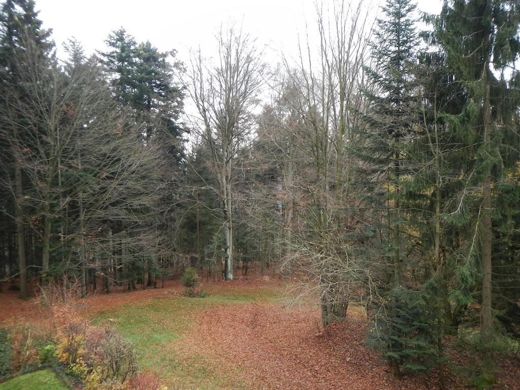 Ferienwohnung Waldoase Am Fuchsenstein Spiegelau Esterno foto