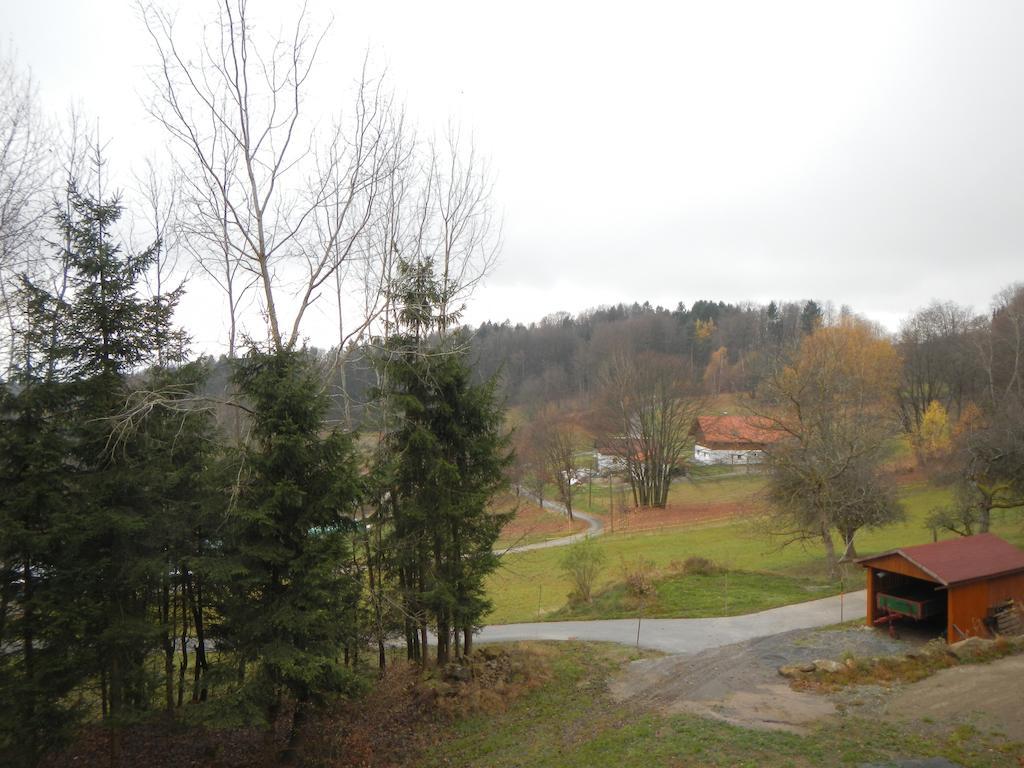 Ferienwohnung Waldoase Am Fuchsenstein Spiegelau Esterno foto
