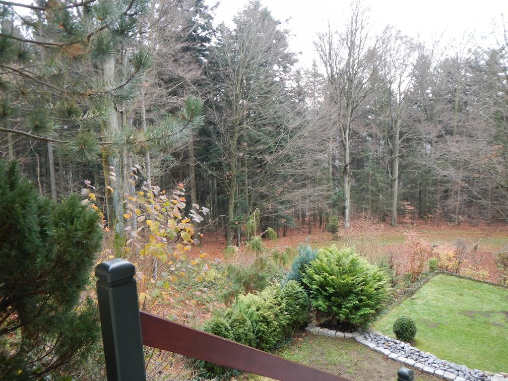 Ferienwohnung Waldoase Am Fuchsenstein Spiegelau Esterno foto